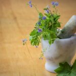 Mortero de piedra con plantas medicinales verdes y flores lilas, símbolo de la naturopatía y la salud natural